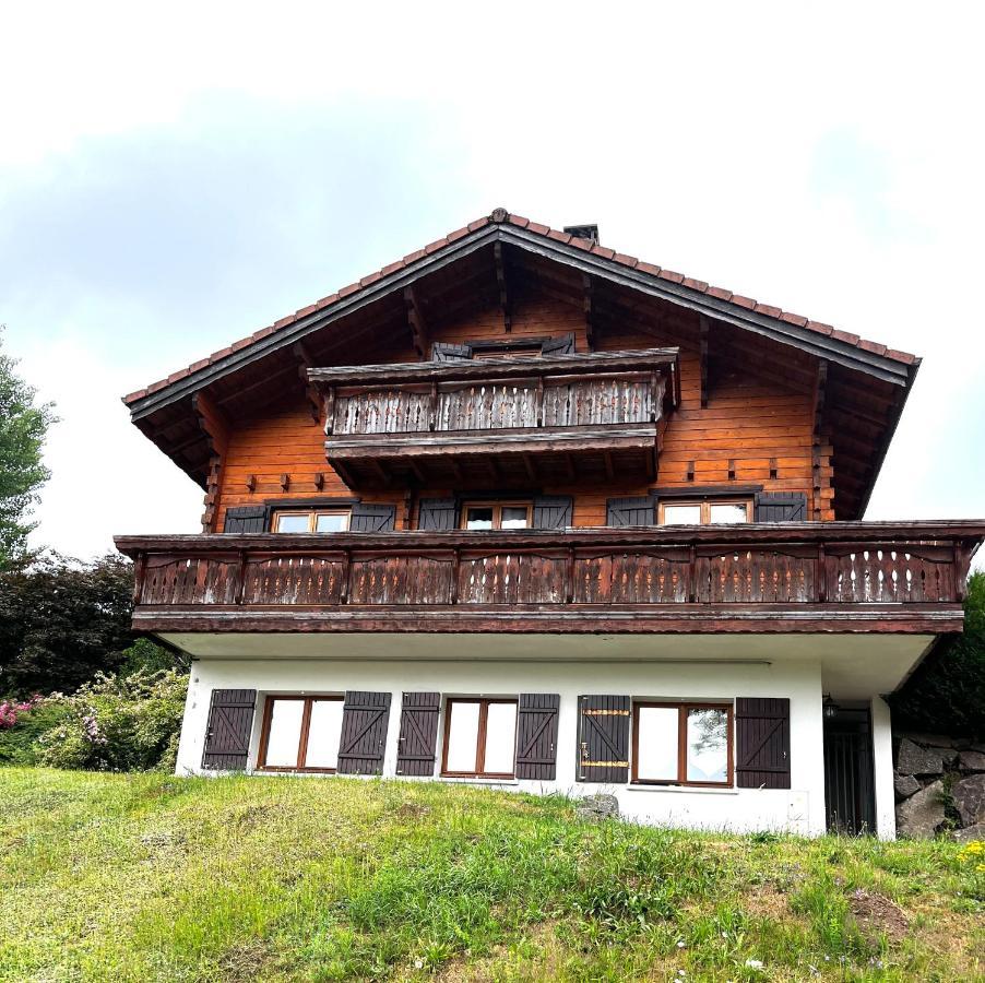 Entre Lac Et Pistes De Ski Gérardmer Exterior photo